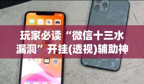 玩家必读“微信十三水漏洞	”开挂(透视)辅助神器