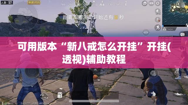 可用版本“新八戒怎么开挂”开挂(透视)辅助教程