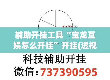 辅助开挂工具“宝龙互娱怎么开挂	”开挂(透视)最新辅助详细