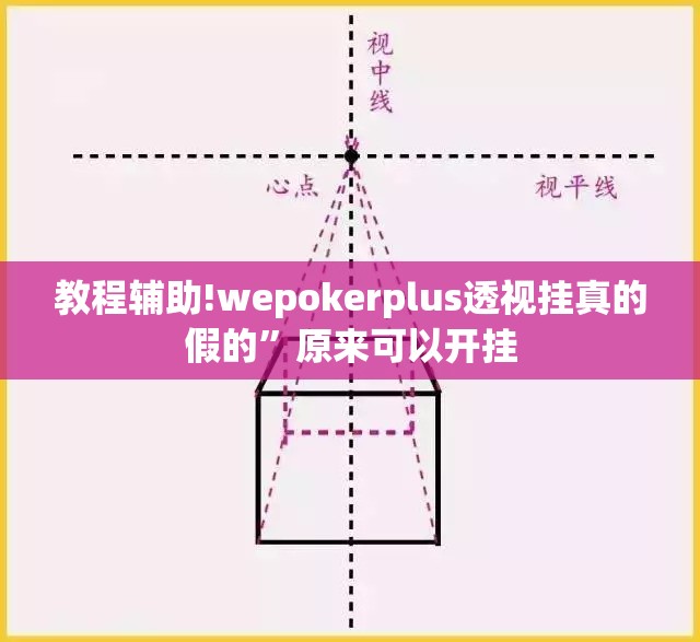 教程辅助!wepokerplus透视挂真的假的	”原来可以开挂
