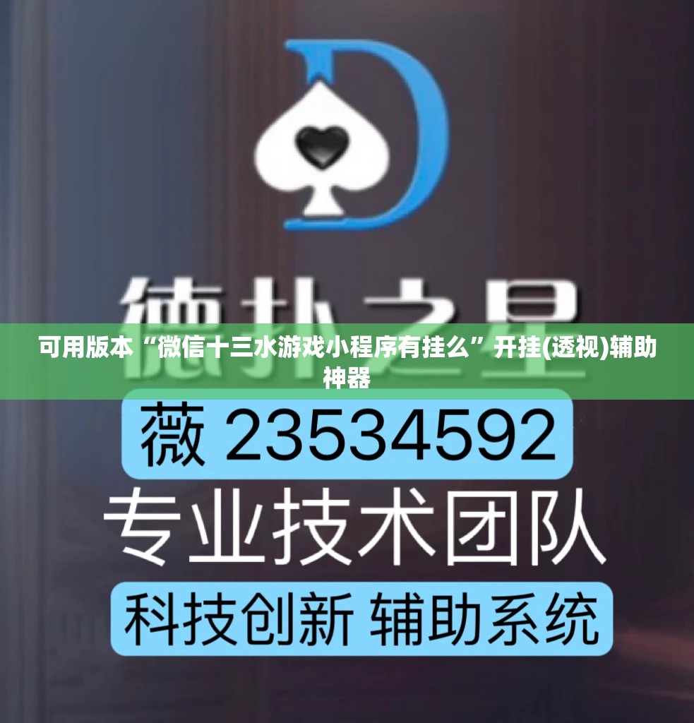 可用版本“微信十三水游戏小程序有挂么	”开挂(透视)辅助神器