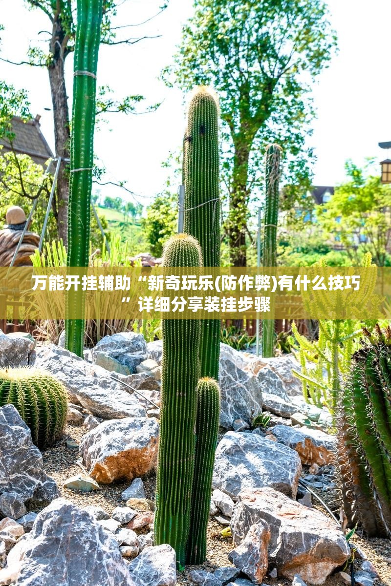 万能开挂辅助“新奇玩乐(防作弊)有什么技巧”详细分享装挂步骤