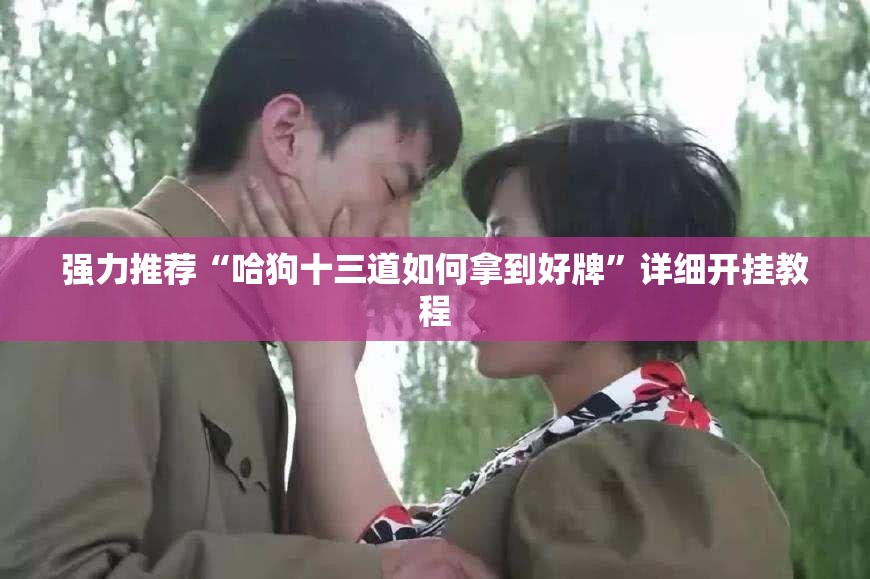 强力推荐“哈狗十三道如何拿到好牌	”详细开挂教程