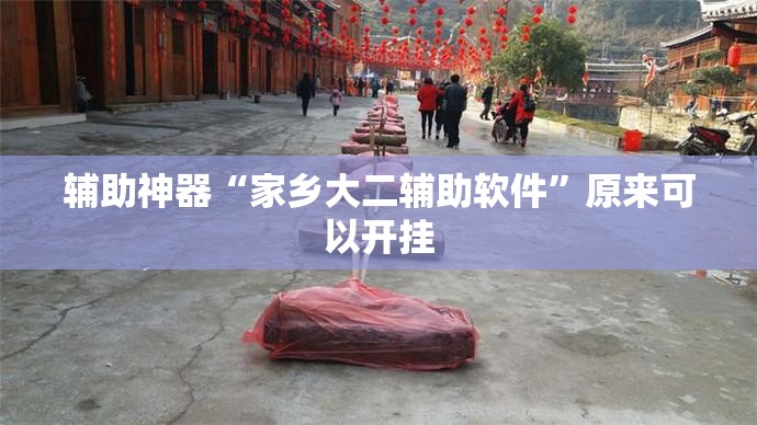 辅助神器“家乡大二辅助软件”原来可以开挂