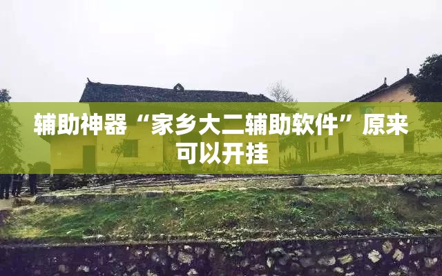 辅助神器“家乡大二辅助软件”原来可以开挂