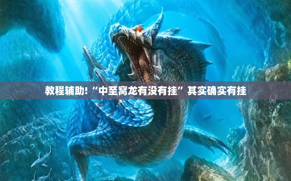 教程辅助!“中至窝龙有没有挂”其实确实有挂