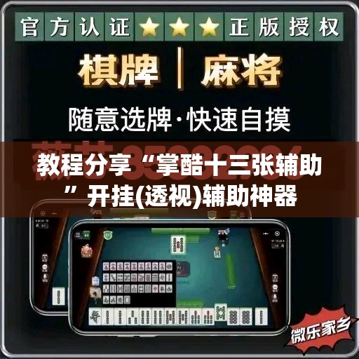 教程分享“掌酷十三张辅助	”开挂(透视)辅助神器