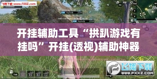 开挂辅助工具“拱趴游戏有挂吗”开挂(透视)辅助神器