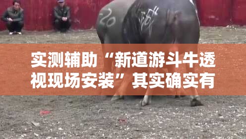 实测辅助“新道游斗牛透视现场安装”其实确实有挂