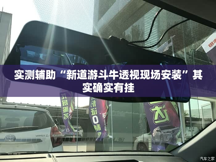 实测辅助“新道游斗牛透视现场安装	”其实确实有挂