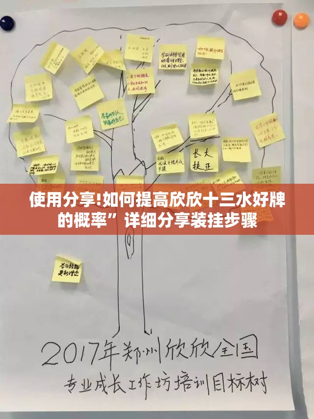 使用分享!如何提高欣欣十三水好牌的概率	”详细分享装挂步骤