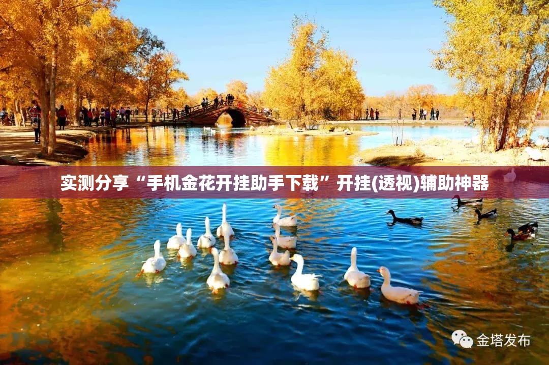 实测分享“手机金花开挂助手下载	”开挂(透视)辅助神器