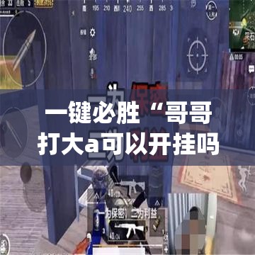 一键必胜“哥哥打大a可以开挂吗	”开挂(透视)辅助神器