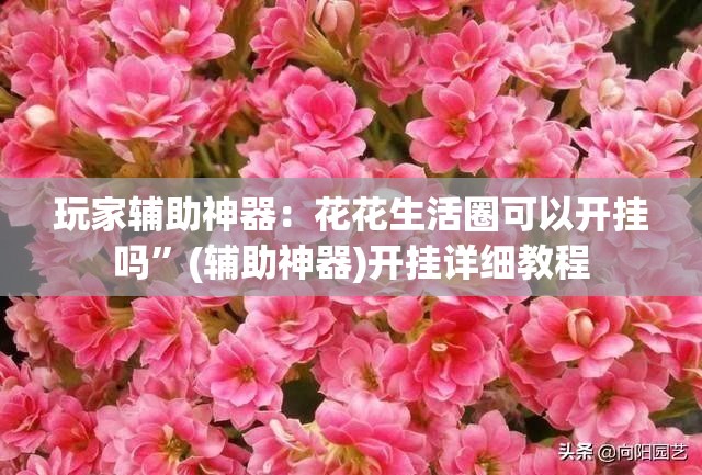 玩家辅助神器：花花生活圈可以开挂吗”(辅助神器)开挂详细教程