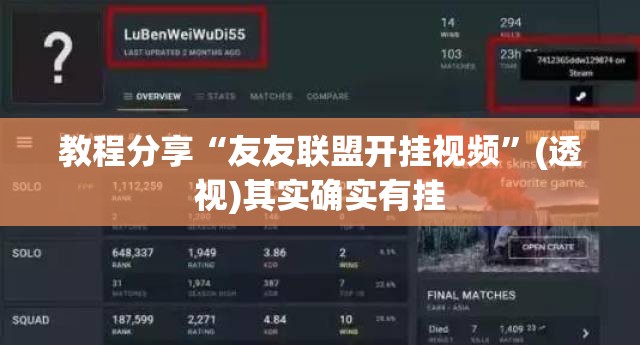 教程分享“友友联盟开挂视频	”(透视)其实确实有挂