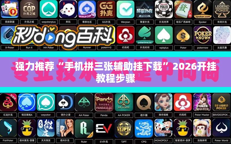 强力推荐“手机拼三张辅助挂下载”2026开挂教程步骤