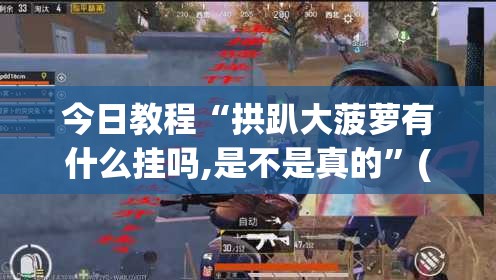 今日教程“拱趴大菠萝有什么挂吗,是不是真的”(辅助神器)开挂详细教程