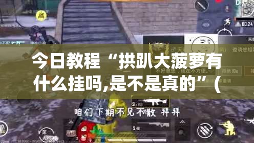 今日教程“拱趴大菠萝有什么挂吗,是不是真的”(辅助神器)开挂详细教程