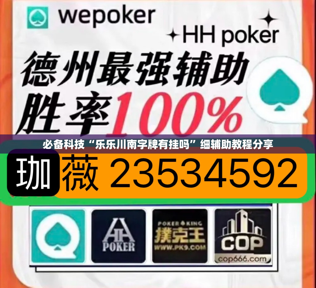 必备科技“乐乐川南字牌有挂吗”细辅助教程分享