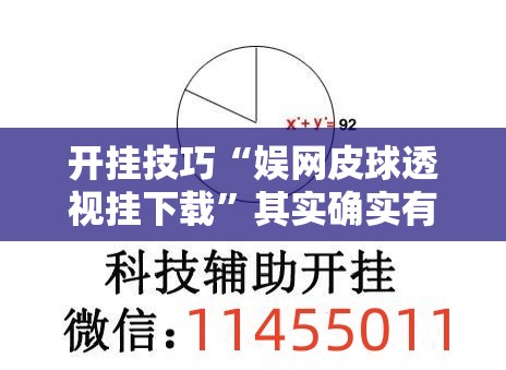 开挂技巧“娱网皮球透视挂下载	”其实确实有挂