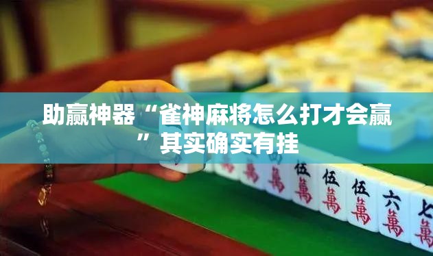 助赢神器“雀神麻将怎么打才会赢”其实确实有挂