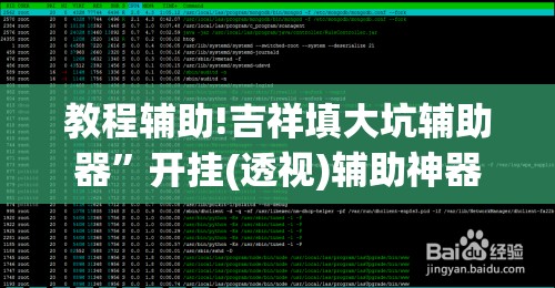 教程辅助!吉祥填大坑辅助器”开挂(透视)辅助神器