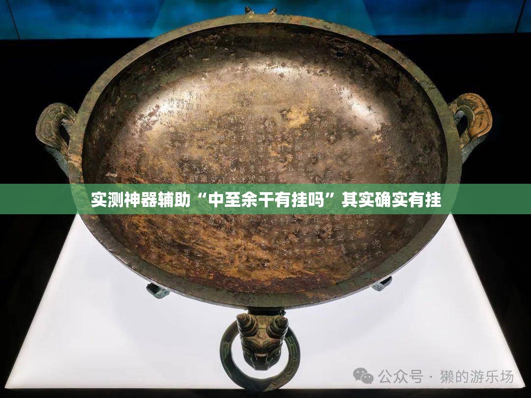 实测神器辅助“中至余干有挂吗”其实确实有挂