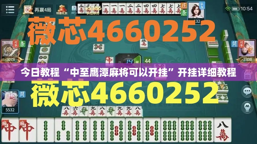 今日教程“中至鹰潭麻将可以开挂”开挂详细教程