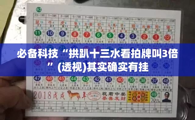 必备科技“拱趴十三水看拍牌叫3倍”(透视)其实确实有挂