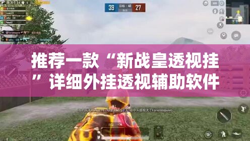 推荐一款“新战皇透视挂”详细外挂透视辅助软件教程