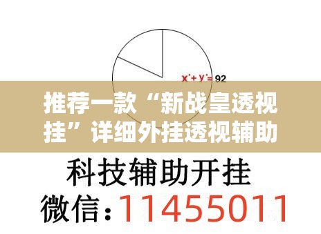 推荐一款“新战皇透视挂	”详细外挂透视辅助软件教程
