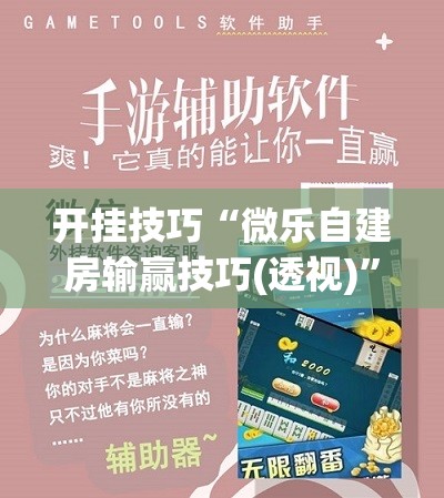开挂技巧“微乐自建房输赢技巧(透视)”开挂辅助脚本+详细开挂安装教程
