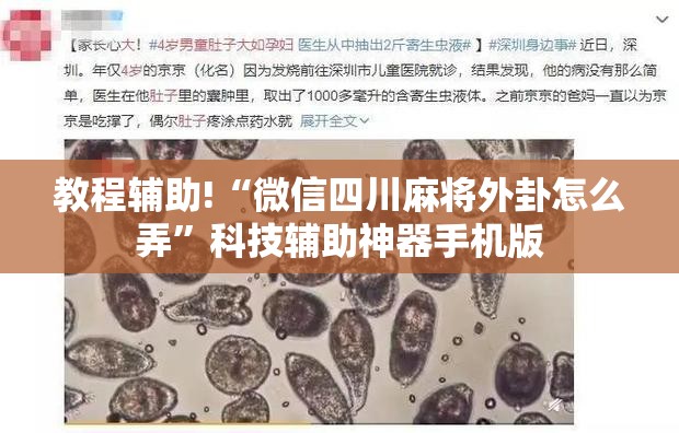 教程辅助!“微信四川麻将外卦怎么弄”科技辅助神器手机版