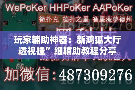 玩家辅助神器：新鸿狐大厅透视挂”细辅助教程分享