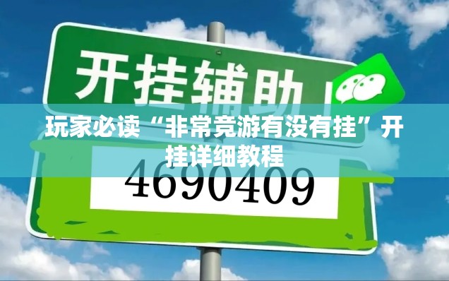玩家必读“非常竞游有没有挂”开挂详细教程