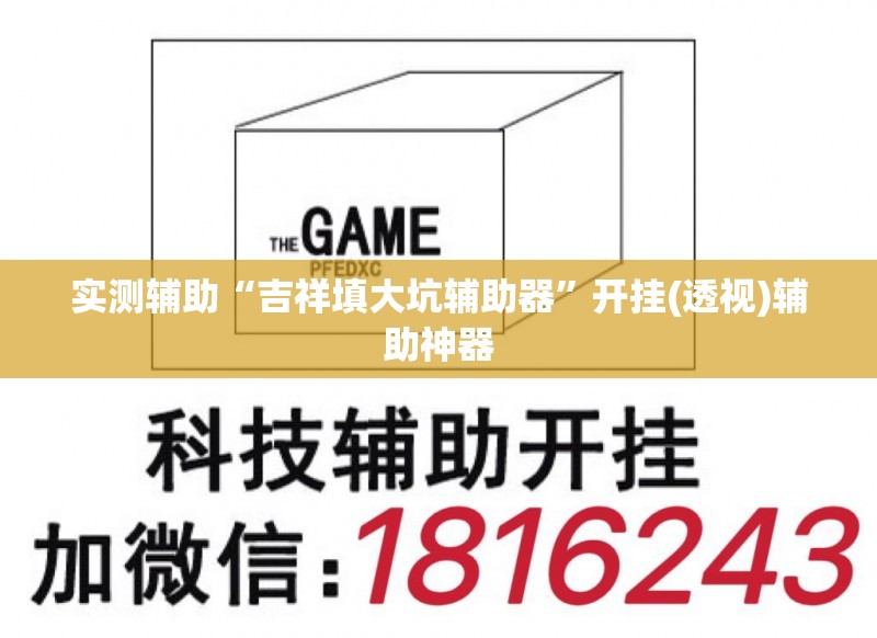 实测辅助“吉祥填大坑辅助器	”开挂(透视)辅助神器