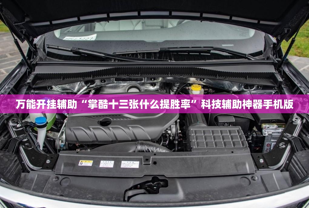 万能开挂辅助“掌酷十三张什么提胜率”科技辅助神器手机版