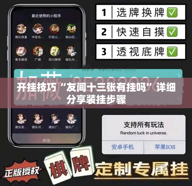 开挂技巧“友间十三张有挂吗	”详细分享装挂步骤