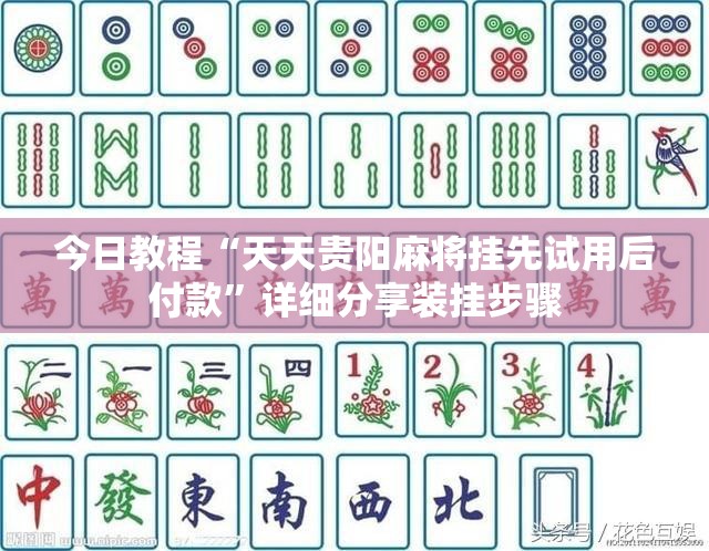 今日教程“天天贵阳麻将挂先试用后付款”详细分享装挂步骤
