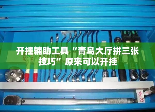 开挂辅助工具“青鸟大厅拼三张技巧	”原来可以开挂