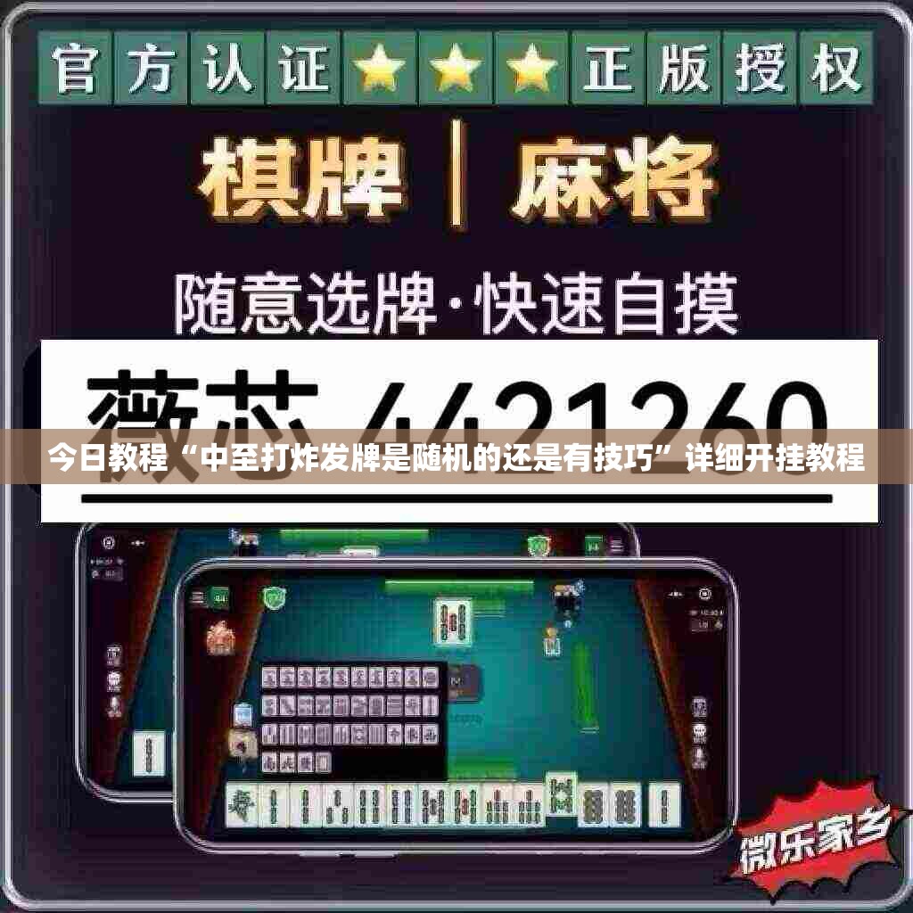 今日教程“中至打炸发牌是随机的还是有技巧”详细开挂教程