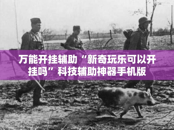 万能开挂辅助“新奇玩乐可以开挂吗	”科技辅助神器手机版