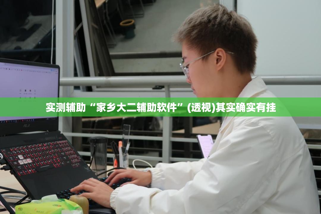 实测辅助“家乡大二辅助软件”(透视)其实确实有挂