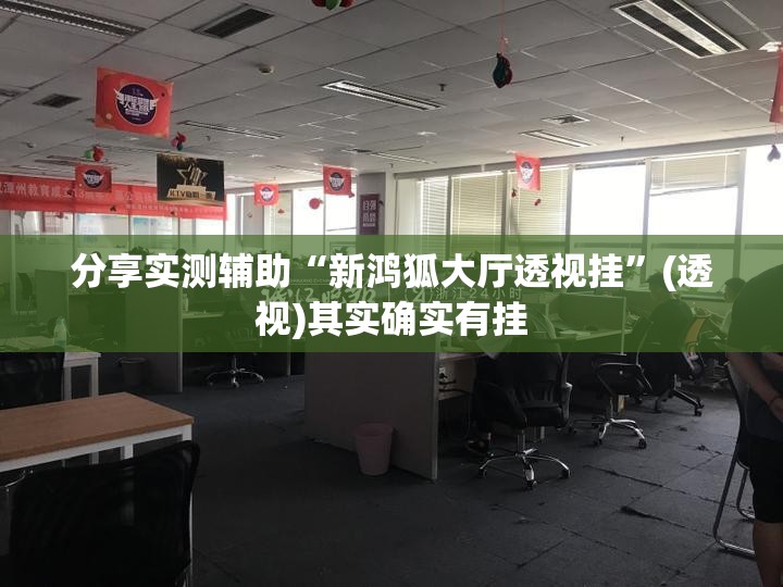 分享实测辅助“新鸿狐大厅透视挂”(透视)其实确实有挂