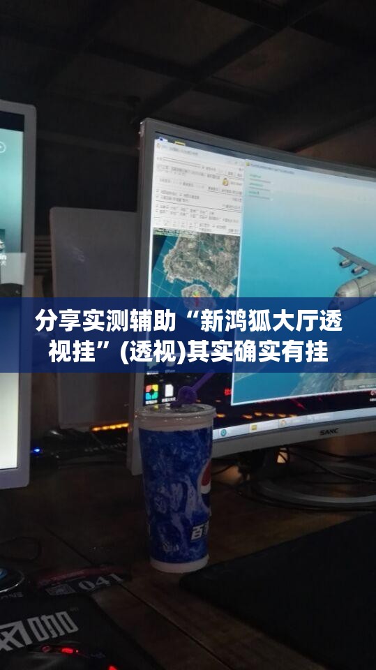 分享实测辅助“新鸿狐大厅透视挂	”(透视)其实确实有挂