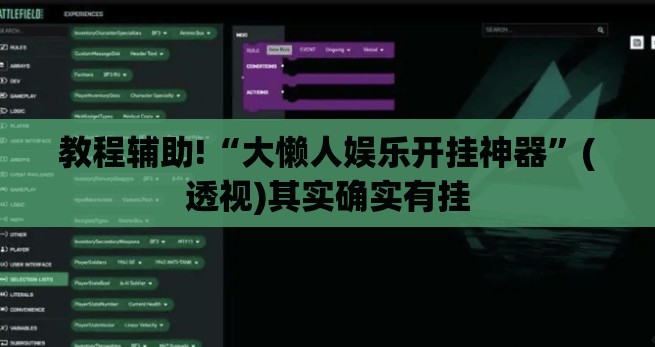 教程辅助!“大懒人娱乐开挂神器”(透视)其实确实有挂
