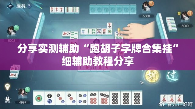 分享实测辅助“跑胡子字牌合集挂”细辅助教程分享