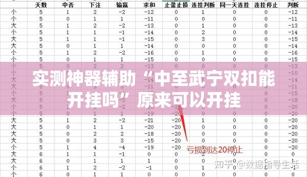 实测神器辅助“中至武宁双扣能开挂吗”原来可以开挂