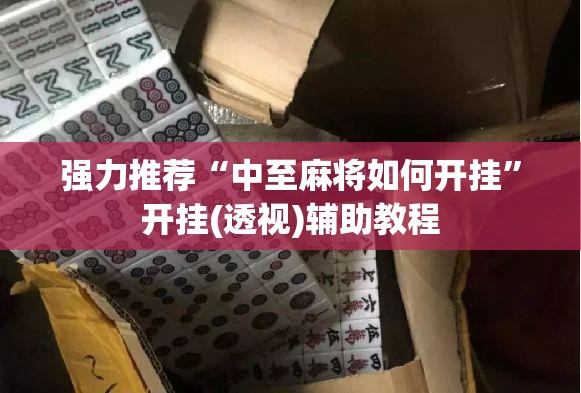 强力推荐“中至麻将如何开挂”开挂(透视)辅助教程