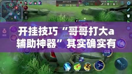 开挂技巧“哥哥打大a辅助神器”其实确实有挂